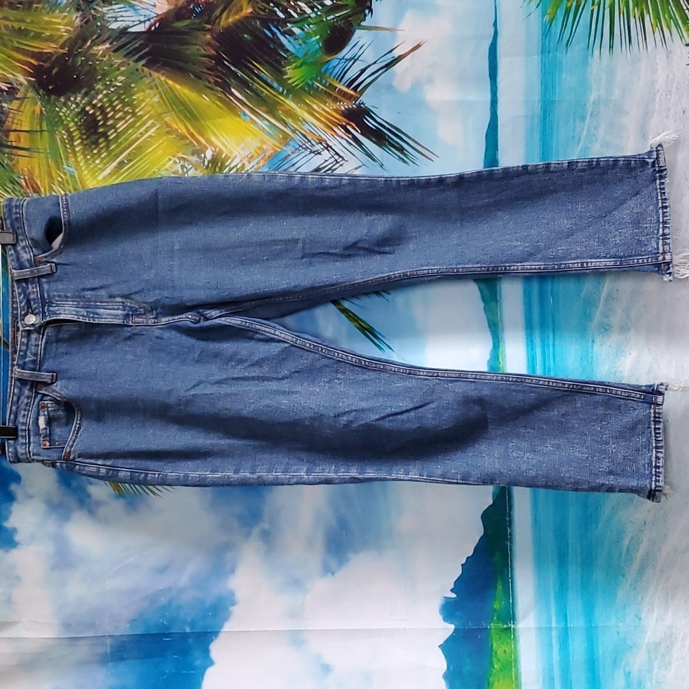Abercrombie &Fitch Simone hi rise slim denim size 28 / 6R